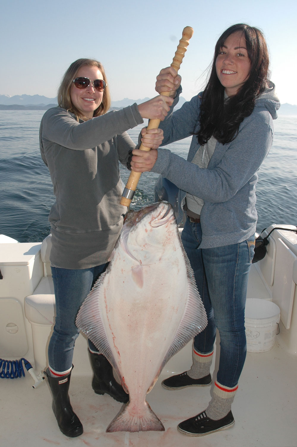 Halibut Daily Limit Increase Cleanline Sportfishing